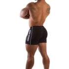 90230900_heavy_shorts_back