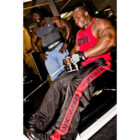 gorilla_wear_2012_27_web_1