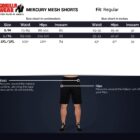 size-chart-mercury-mesh-short_5dc65680-4d71-45ca-b15c-1aafea9b92b9
